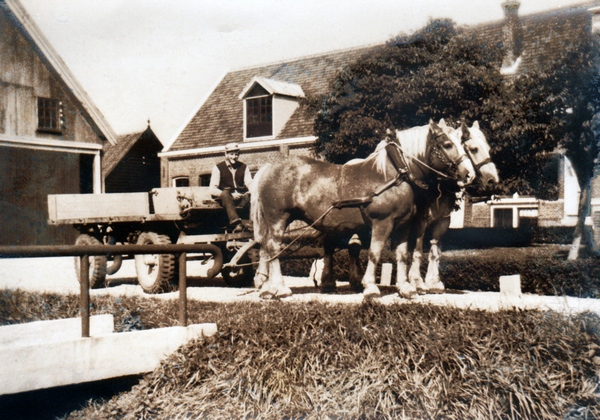 paard en wagen Frigo Group